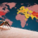 Chikungunya Returns: Understanding the Global Health Threat of a Resurgent Virus