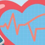 The Connection Between Heart Rate and Lifespan