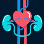 Proteinuria Linked to Increased Risk of Sudden Cardiac Arrest in Young Adults