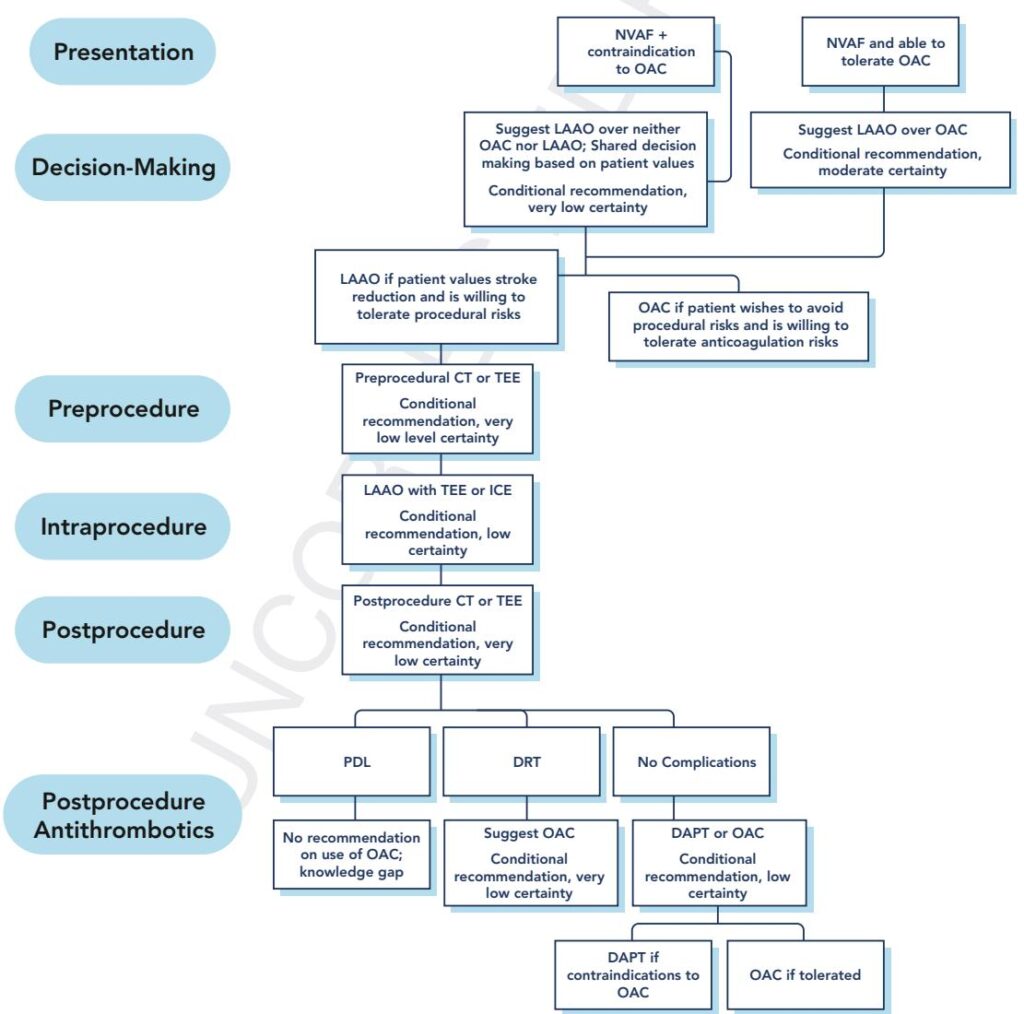 ADA Standards of Care 2024: A Clinician-Friendly Guide to the New Cardiorenal‑Metabolic Era in Diabetes Care