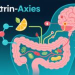 Vitamin C, the Gut Microbiome, and Mental Vitality: A New Triad for Cognitive Health in Young Adults