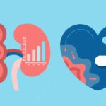 ARBs versus Dihydropyridine CCBs : Which Protects the Heart and Which Safeguards the Kidneys?