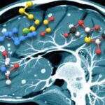 Comparative Efficacy and Safety of Tolebrutinib in Multiple Sclerosis: Insights from Recent Phase 3 Trials