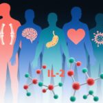 Low-Dose Interleukin-2: Unlocking Immune Modulation Across Autoimmune, Neurodegenerative, Metabolic, Transplant, and Inflammatory Diseases