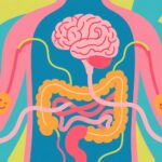 あなたの腸、あなたの気分：‘第二の脳’がブルーを打ち破る方法