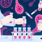 Off-the-Shelf iPSC-Derived Natural Killer Cell Therapy for Relapsed or Refractory B-Cell Lymphoma: Key Evidence from a Multicentre Phase 1 Study