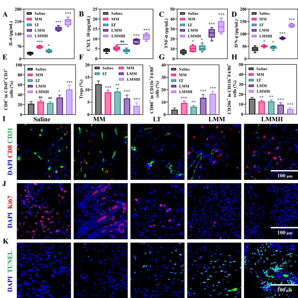 Tumor Microenvironment-Responsive Mn-Based Nanoplatform Activates cGAS-STING Pathway Coupled with Metabolic Interference for Enhanced Antitumor Therapy