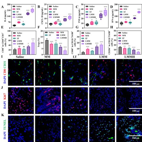 Tumor Microenvironment-Responsive Mn-Based Nanoplatform Activates cGAS-STING Pathway Coupled with Metabolic Interference for Enhanced Antitumor Therapy