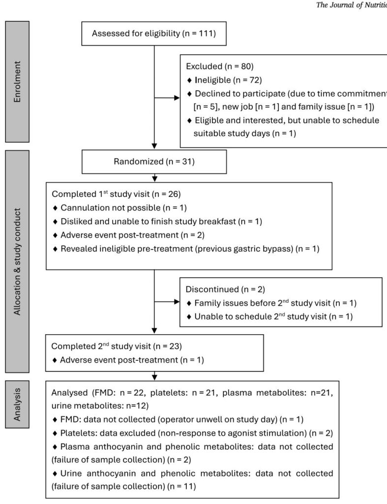 Blackcurrant Anthocyanins Improve Postprandial Vascular Function and Platelet Reactivity: Acute Crossover Trial Highlights Metabolites Linked to Benefit