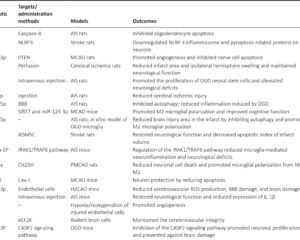 Harnessing Exosomes in Neurodegenerative Diseases: Therapeutic Promise and Modification Techniques