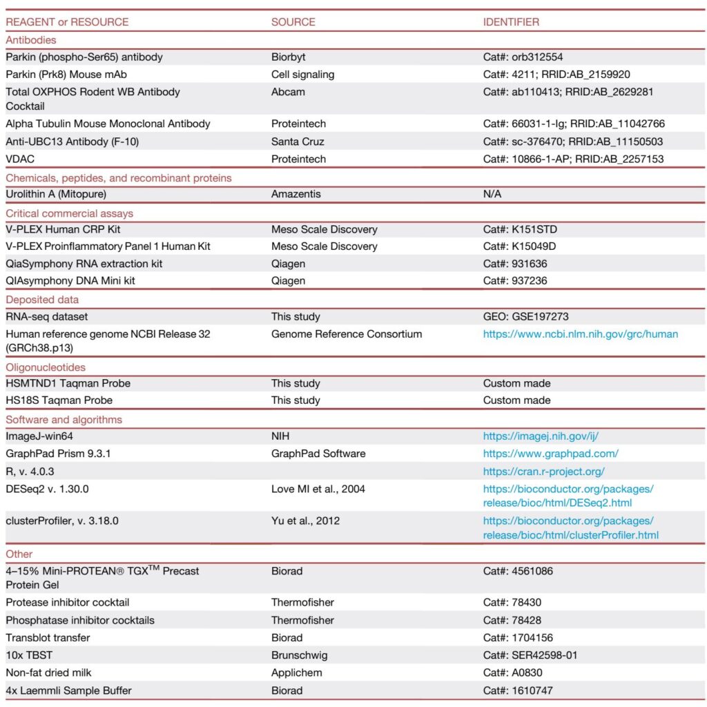 Urolithin A for Muscle Health: A 4‑Month Randomized Trial Shows Improved Lower‑Limb Strength, Endurance Signals, and Mitochondrial Biomarkers