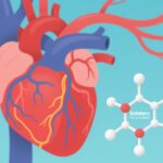 Sotatercept trong Phổi Mạch Máu Cao Nguy Cơ Cao: Một Bước Tiến Đột Phá trong Kết Quả Bệnh Nhân