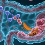 Curcumin Shows Promise in Targeting Colorectal Cancer Stem-like Cells: Mechanistic Insights and Clinical Implications