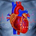 Bệnh thiếu máu là yếu tố dự đoán sự rối loạn điều hòa sắt và điều chỉnh phản ứng của empagliflozin trong suy tim có phân suất tống xuất giảm: Những hiểu biết từ thử nghiệm EMPATROPISM-FE