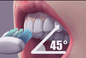 Bạn có biết về phương pháp đánh răng chuẩn quốc tế – Phương pháp Bass?