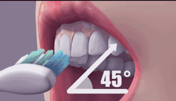 Bạn có biết về phương pháp đánh răng chuẩn quốc tế – Phương pháp Bass?