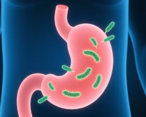 Tăng cường tiêu diệt Helicobacter pylori: Vai trò của việc điều trị trước bằng probiotic