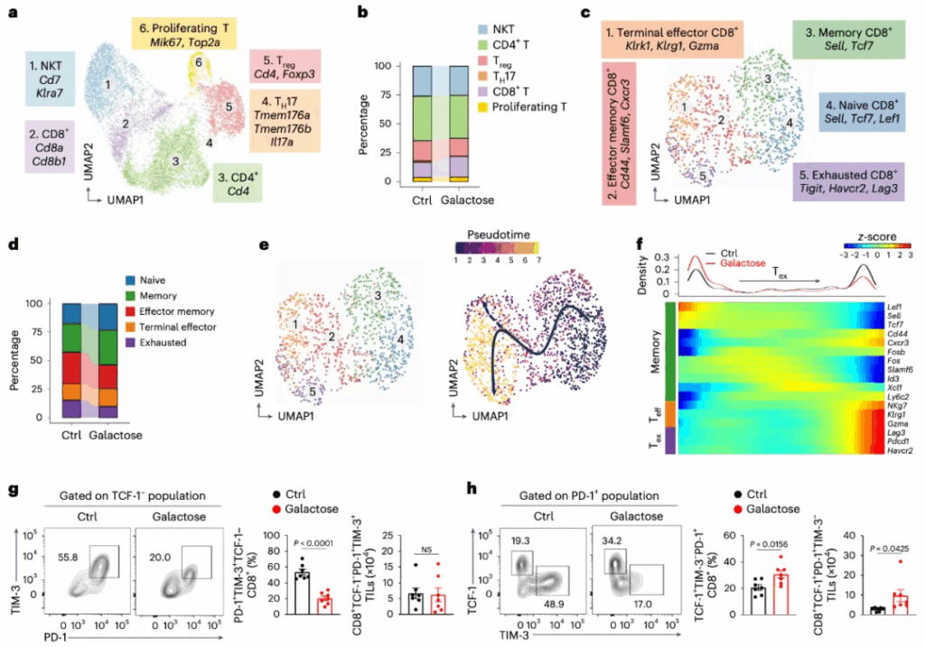 牛奶中的半乳糖，可阻止免疫细胞衰竭，强力抑制肿瘤