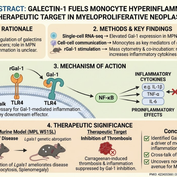 Targeting Galectin-1 to Mitigate Monocyte-Driven Hyperinflammation in Myeloproliferative Neoplasms