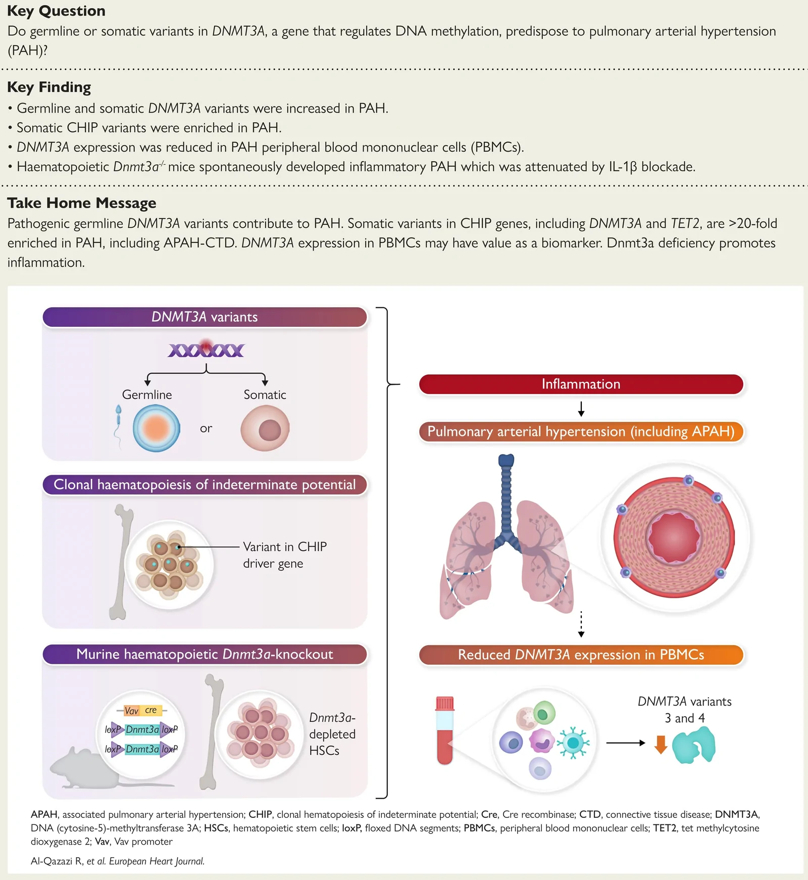 For image description, please refer to the figure legend and surrounding text.