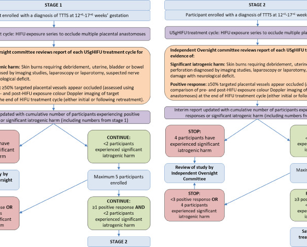 Exploring Ultrasound-Guided High-Intensity Focused Ultrasound for Safe Placental Vessel Occlusion in Early-Onset Twin-Twin Transfusion Syndrome