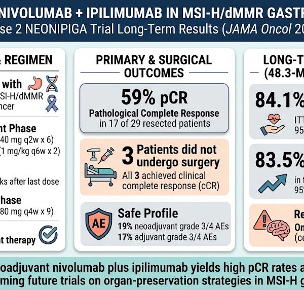 MSI-high 胃癌与胃食管结合部腺癌新辅助 nivolumab 联合 ipilimumab 的长期疗效：来自 NEONIPIGA 2 期试验的启示
