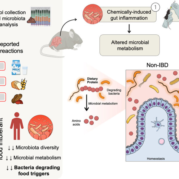 Disrupted Microbial Metabolism in Gut Inflammation as a Key Driver of Adverse Food Reactions in IBD